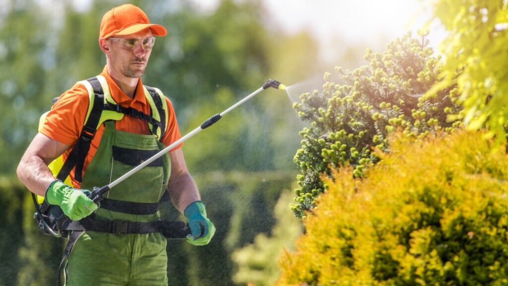 What Is The Best Bug Killer For Lawns